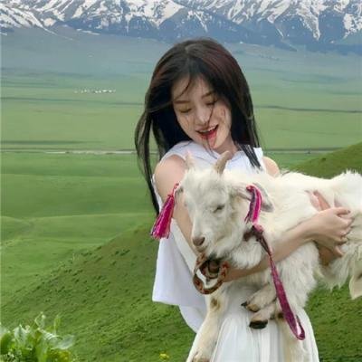 老炮儿