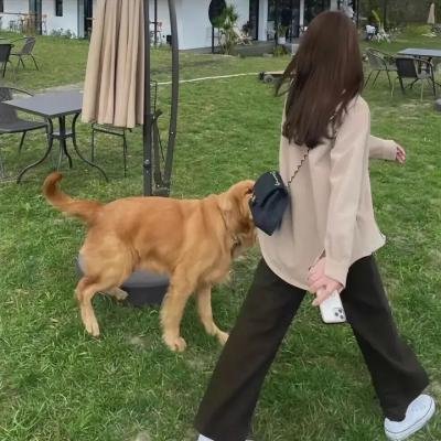 怪物主题乐园